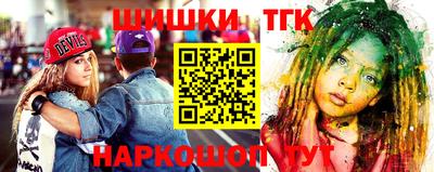 тгк Бийск