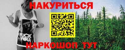 тгк Бийск