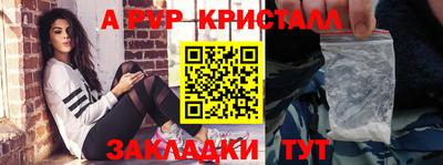 тгк Бийск