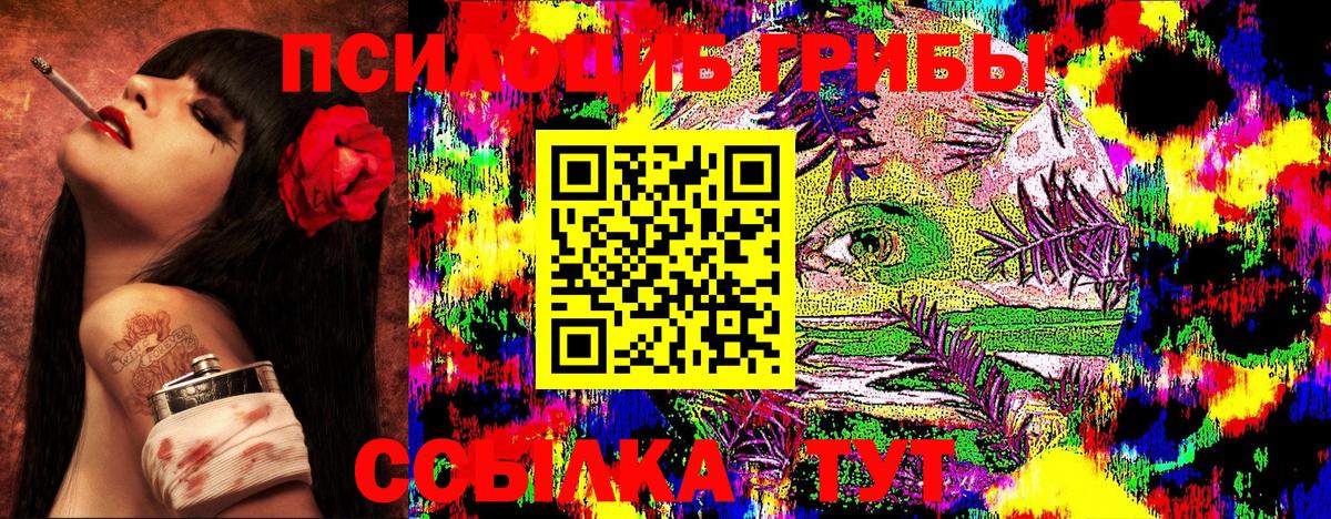 Псилоцибиновые грибы Psilocybine cubensis  Вход с VPN  Златоуст 